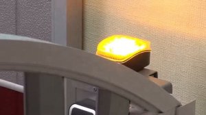 Распашные ворота DoorHan