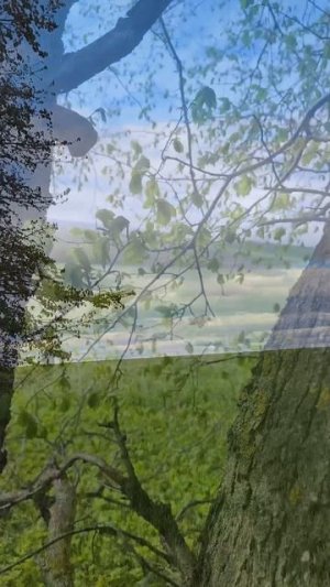 Влажная лирика