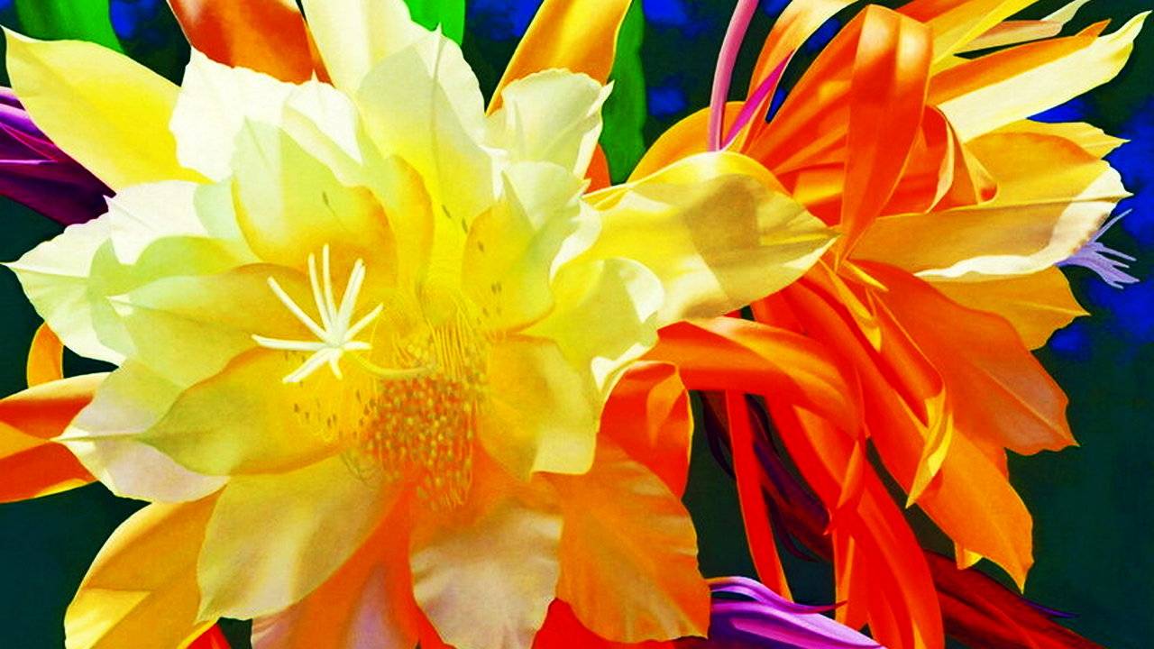 Цветы художника Брайана Дэвиса смотреть онлайн