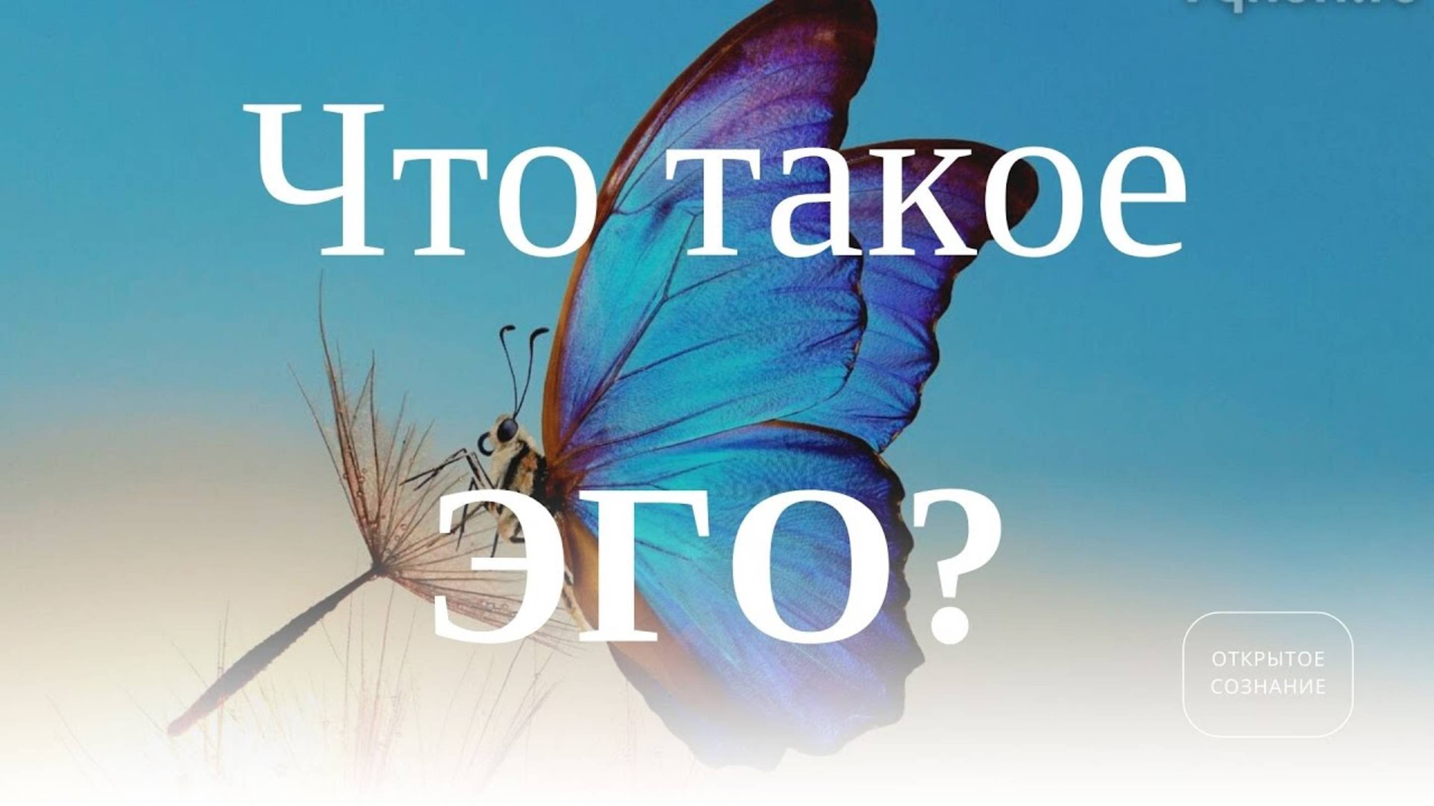 ЧТО ТАКОЕ ЭГО или кому выгодно чтобы люди считали ЭГО чем-то постыдным. смотреть онлайн