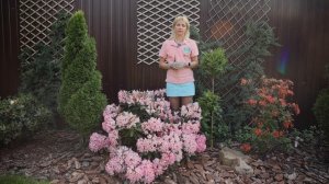 Секреты пышного куста