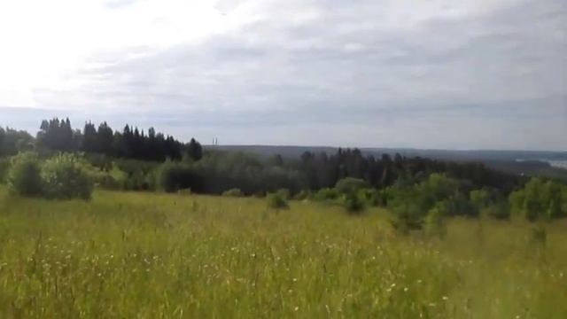 Ах эта поздняя любовь - Автор и поёт Надежда Стасюлевич музыка Х. Кайгумов смотреть онлайн