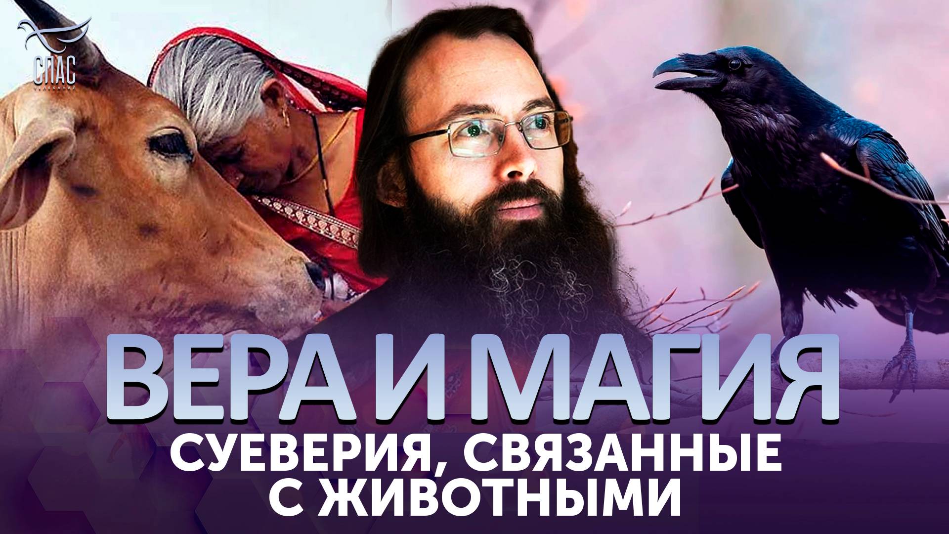 Суеверия, связанные с животными / Вера и магия