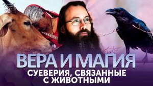 Суеверия, связанные с животными / Вера и магия