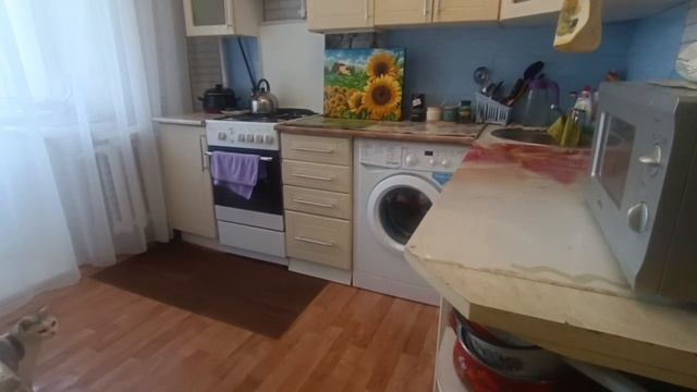 video_2025-06-25_15-29-36 смотреть онлайн