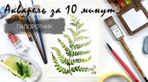 Рисуем папоротник за 10 минут акварелью пошагово. Быстрые зарисовки. Акварель для новичков