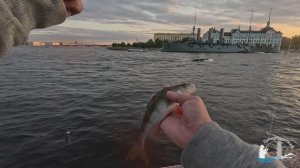 #98 #спиннинг Ловлю неплохого окуня и судака в центре Петербурга напротив Авроры