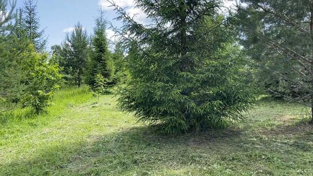 Земельный участок в Трепарево смотреть онлайн