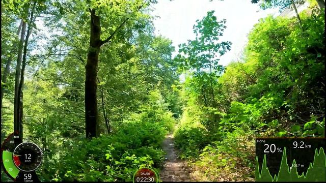 Видео для велотренажёра -Trifox Bike Indoor Cycling Workout