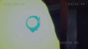 Сон Джин Ву Против  Каргалгана-могущественного орка-шамана