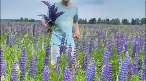 Не плачь, Анастасия! Премьера от Гладков Проджект! Песня про Настю