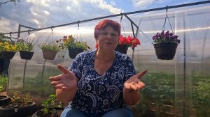 Почему у меня всё цветёт и радует урожаем? Делюсь секретами ухода за огородом! Всё очень просто!