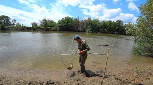 КАК БЕШЕНЫЙ. РЫБАЛКА НА САЗАНА С ЗАКИДУШКАМИ. Ловля сазана на макушатник, жмых, макуху. Астрахань.