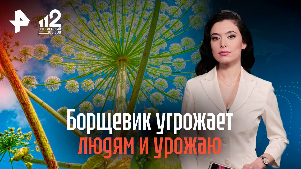 Борщевик угрожает людям и урожаю смотреть онлайн