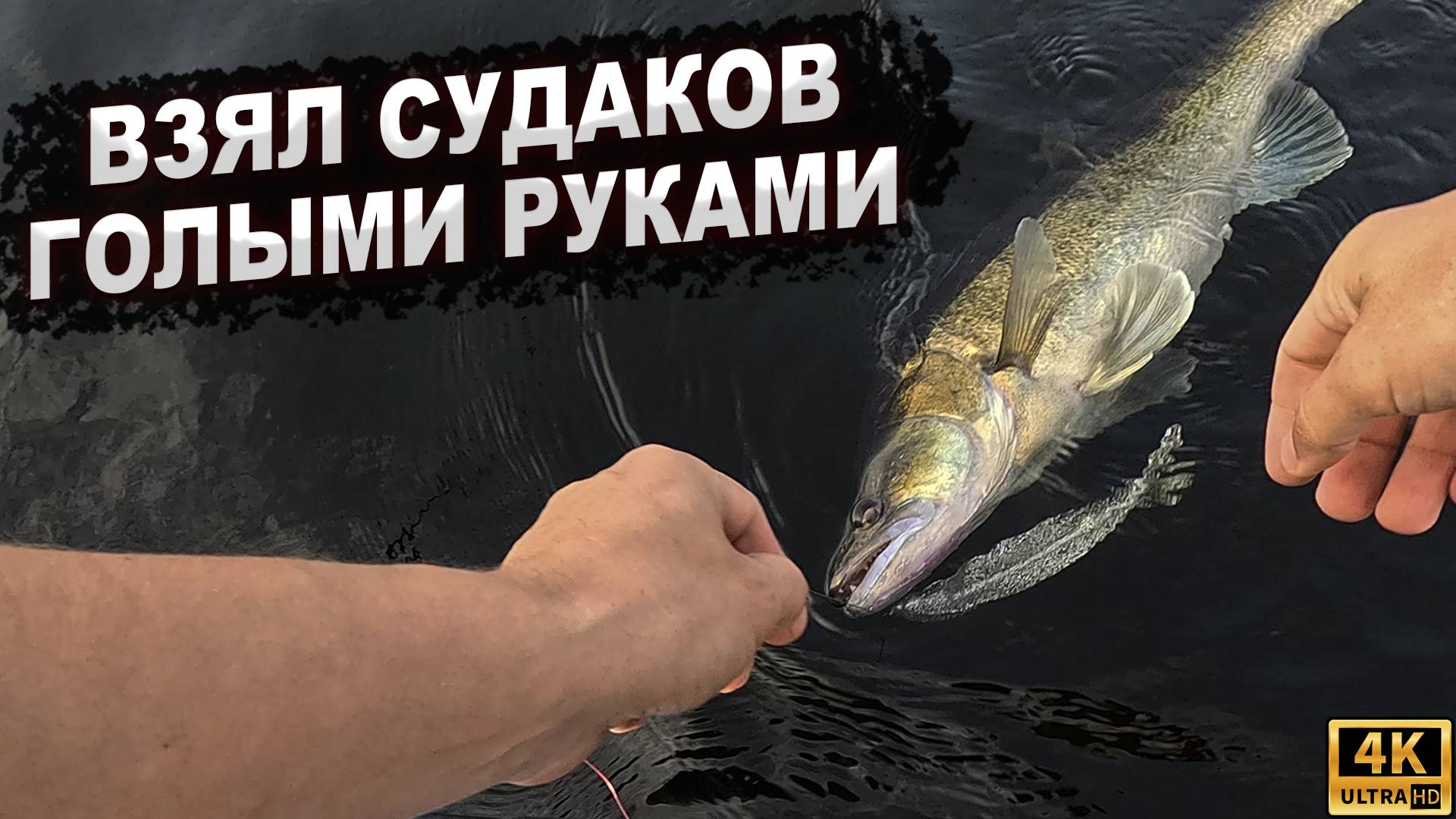 ВЗЯЛ СУДАКОВ ГОЛЫМИ РУКАМИ смотреть онлайн