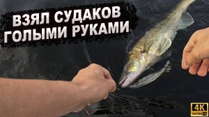 ВЗЯЛ СУДАКОВ ГОЛЫМИ РУКАМИ