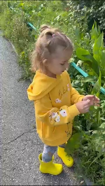1000016072.mp4 смотреть онлайн