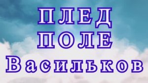 Плед Поле Васильков крючком - Мастер-класс