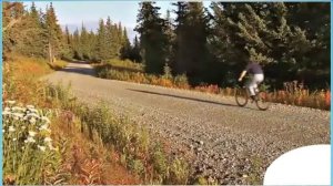 City Life. Country Life