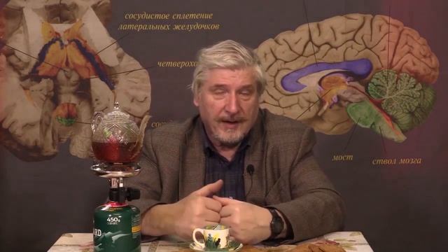 Нежное обаранивание смотреть онлайн