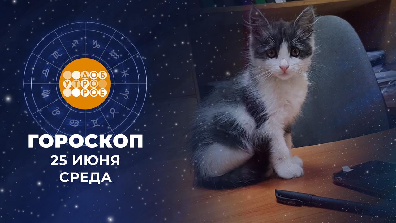 Гороскоп на 25 июня: живой, энергичный и деловитый