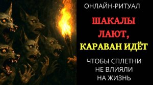 ШАКАЛЫ ЛАЮТ, А КАРАВАН ИДЁТ. ОНЛАЙН-РИТУАЛ ЧИСТКА ОТ ВЛИЯНИЯ СПЛЕТЕН