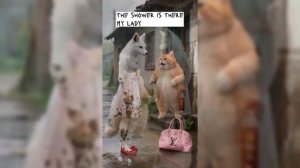 ПОДБОРКА ИИ КОТОВ ИСТОРИИ ЭАЭАХА