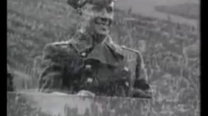 СИРЕНЕВЫЙ ТУМАН