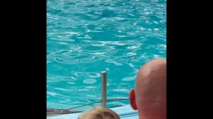 Дельфинарий станица Голубицкая 2025 г. Смотрите шоу с дельфинами нашими глазами.