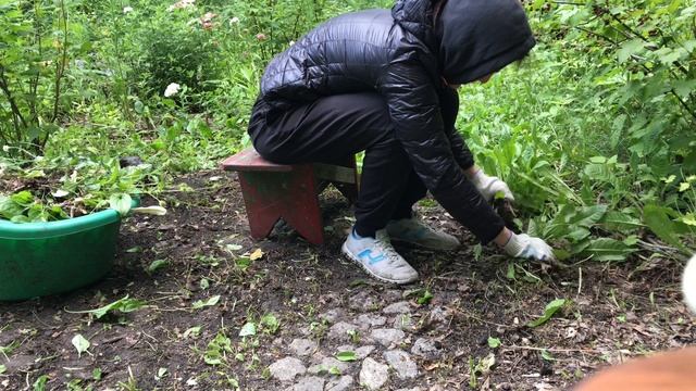 Ищем каменные дорожки в сорняках. Расчистка заросшего участка смотреть онлайн