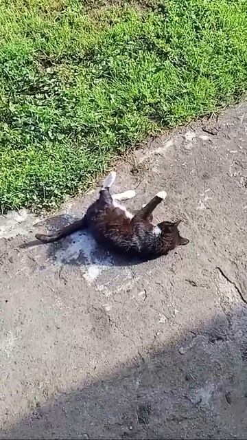 Село Исады. Утро смотреть онлайн