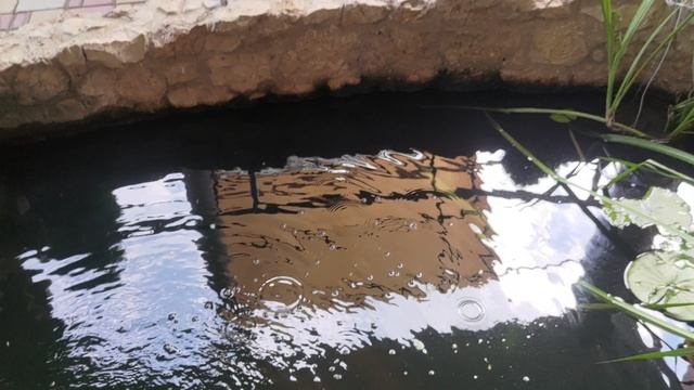 Отель "Соната". Крым. Береговое #соната #отельсоната #крым #береговое #гостевойдом #поселокбереговое смотреть онлайн