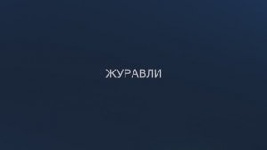 Песня «Журавли» в совместном исполнении хоров РТУ МИРЭА и МПГУ