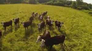 Фермерское хозяйство "Волжский Фермер"