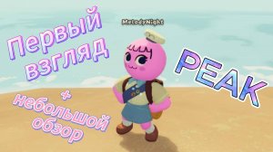 PEAK Первый взгляд + небольшой обзор/гайд