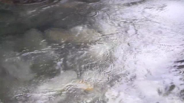 САХАЛИН-ИТУРУП-10 мин.