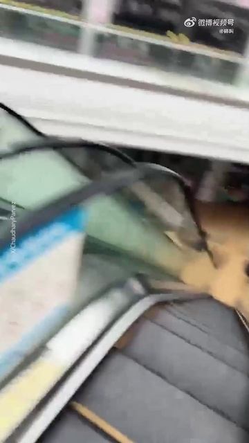 Масштабное наводнение в Китае: более 80 тысяч эвакуированных в провинции Гуйчжоу, — Reuters смотреть онлайн