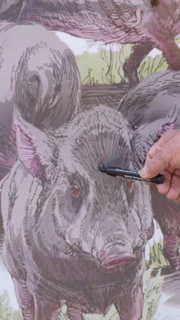 Куда стрелять в кабана? смотреть онлайн