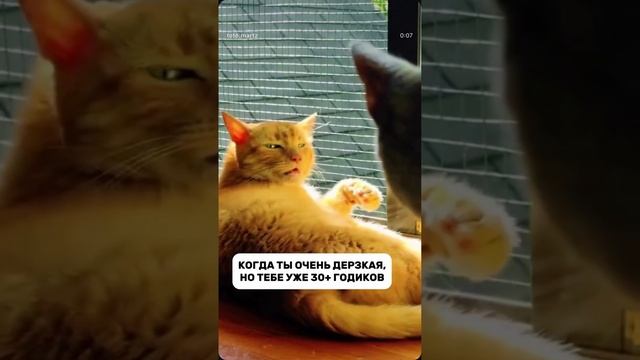 Лучшая подборка приколов: 8