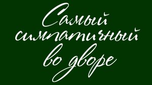 Самый симпатичный во дворе (В доме 8 на Тверском бульваре). (кавер)