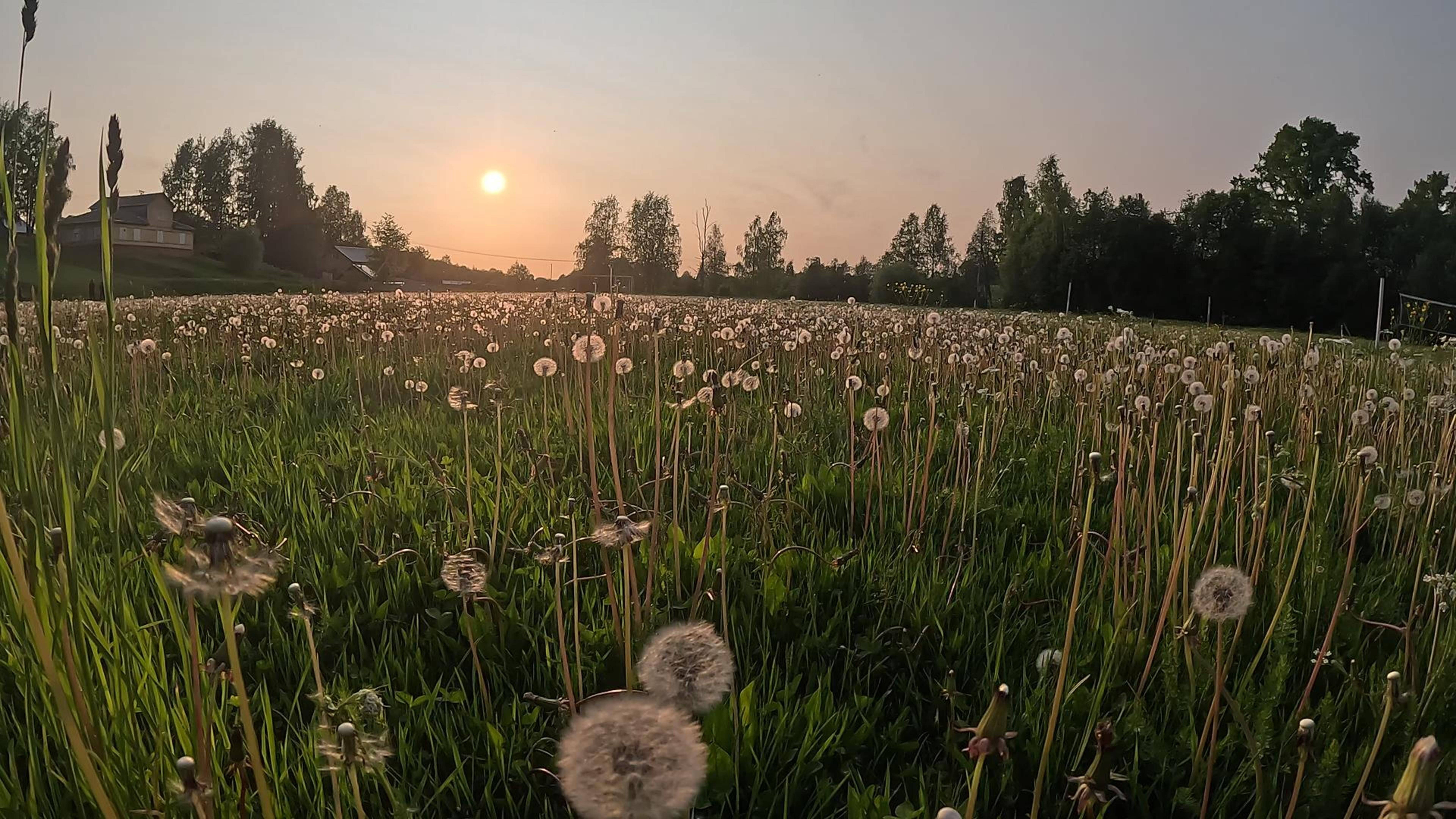 Всем привет, и хорошего дня. смотреть онлайн