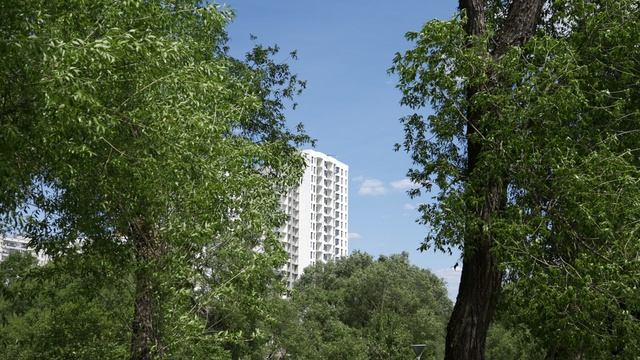 Внуково парк