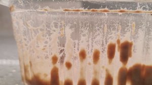 Нематода культура