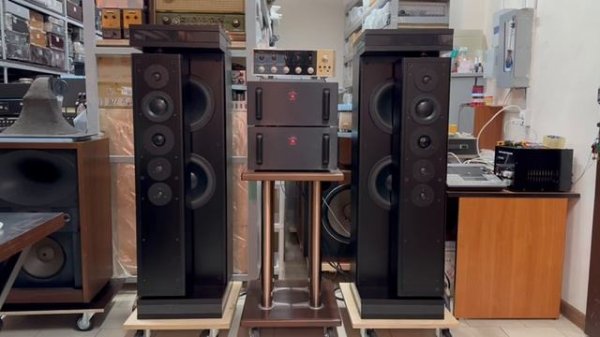 Dynaudio D260/15W 75/D52 AF/D-28 2/D21 2/30W54