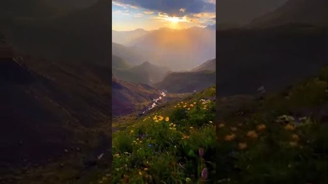 Природа родного края смотреть онлайн