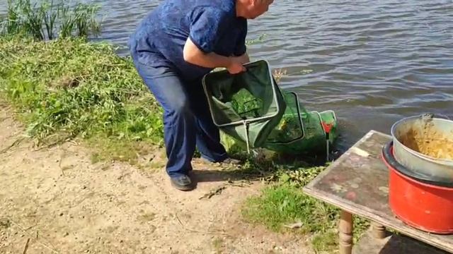 WhatsApp Video 2025-06-24 at 10.19.12 смотреть онлайн