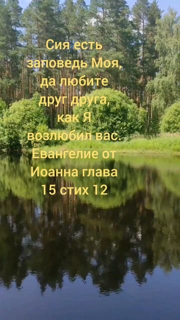 Евангелие от Иоанна глава 15 стих 12 смотреть онлайн
