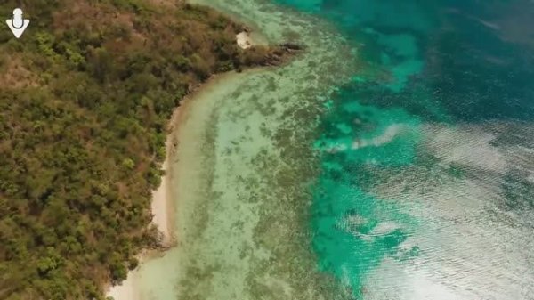 Alan Walker, David Guetta, Coldplay, Martin Garrix & Kygo, The Chainsmokers Style 🔥 Summer Vibes #7