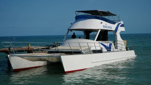 25.06.2025 Коротко о происходящем на пляже Архипо-Осиповки и о погоде