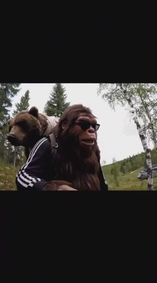 Звериное братство смотреть онлайн